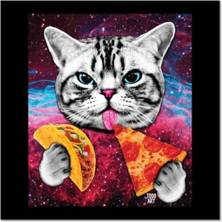 TACO CAT Posters and Art